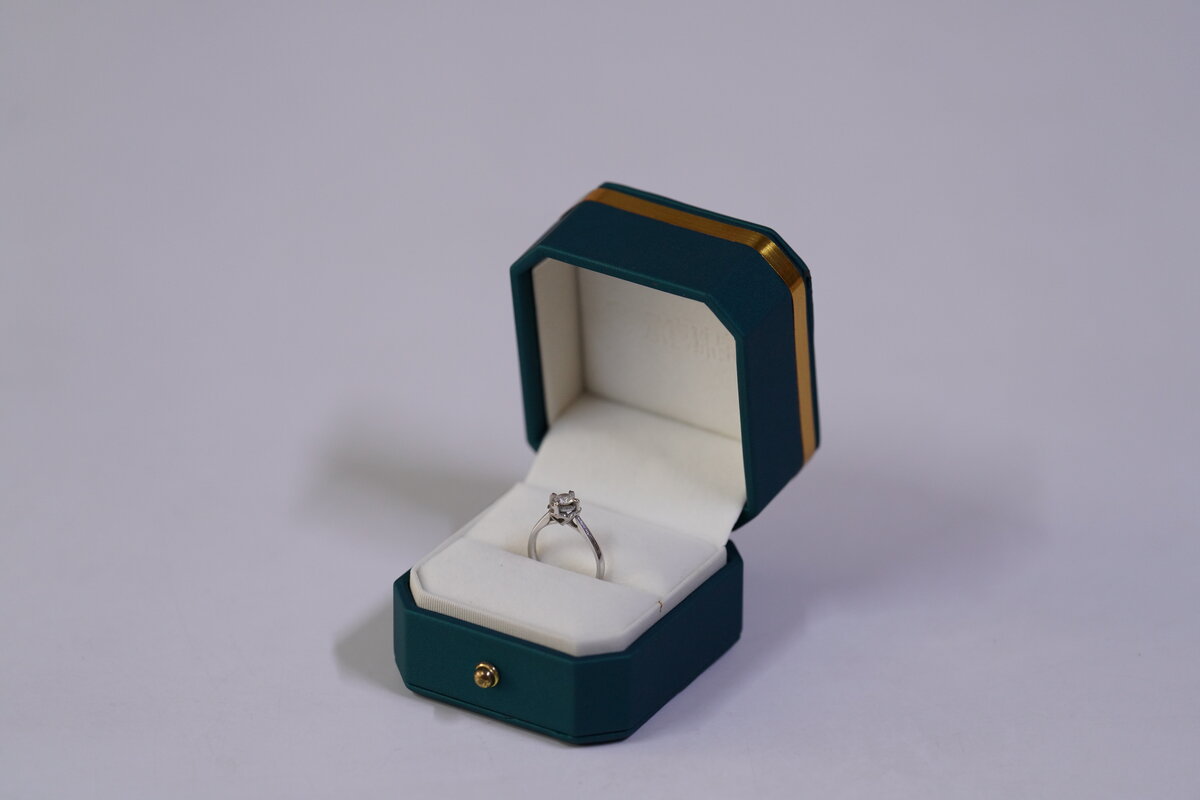 Executive Necklace Display Case